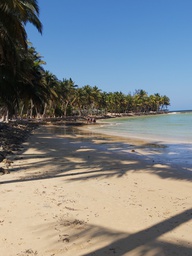 Journée d’évasion à Ifaty