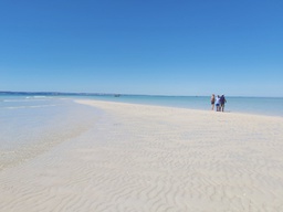 The Great Reef of Tuléar: A marvel at low tide